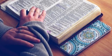 Blogs-About-WordPress-to-Read