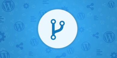 WordPress version control