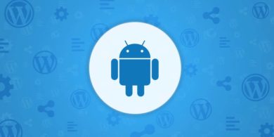 how to optimize WordPress robots.txt file