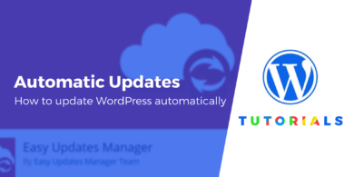 update WordPress automatically