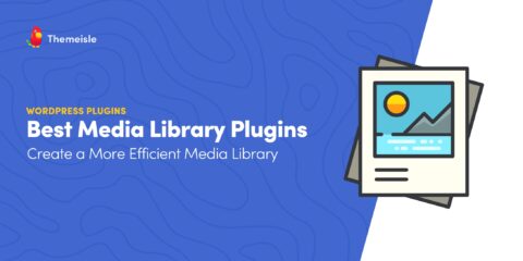 best media library plugins