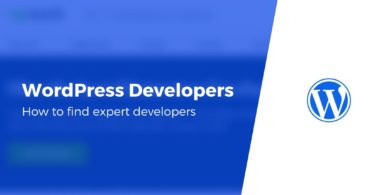 WordPress Developers