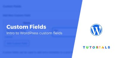 Custom Fields in WordPress
