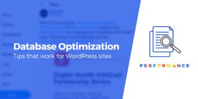 WordPress database optimization