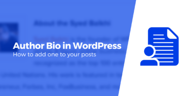 add wordpress author bio