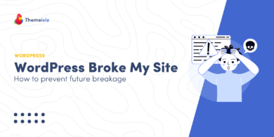 How a WordPress Update Broke My Site.