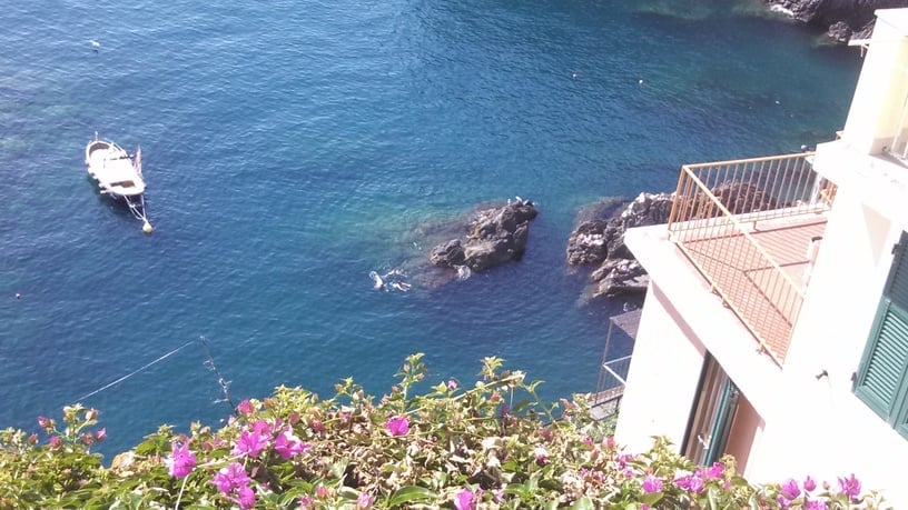 test image 1