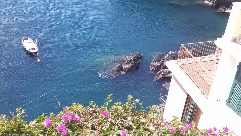 gigapixel image 1 result
